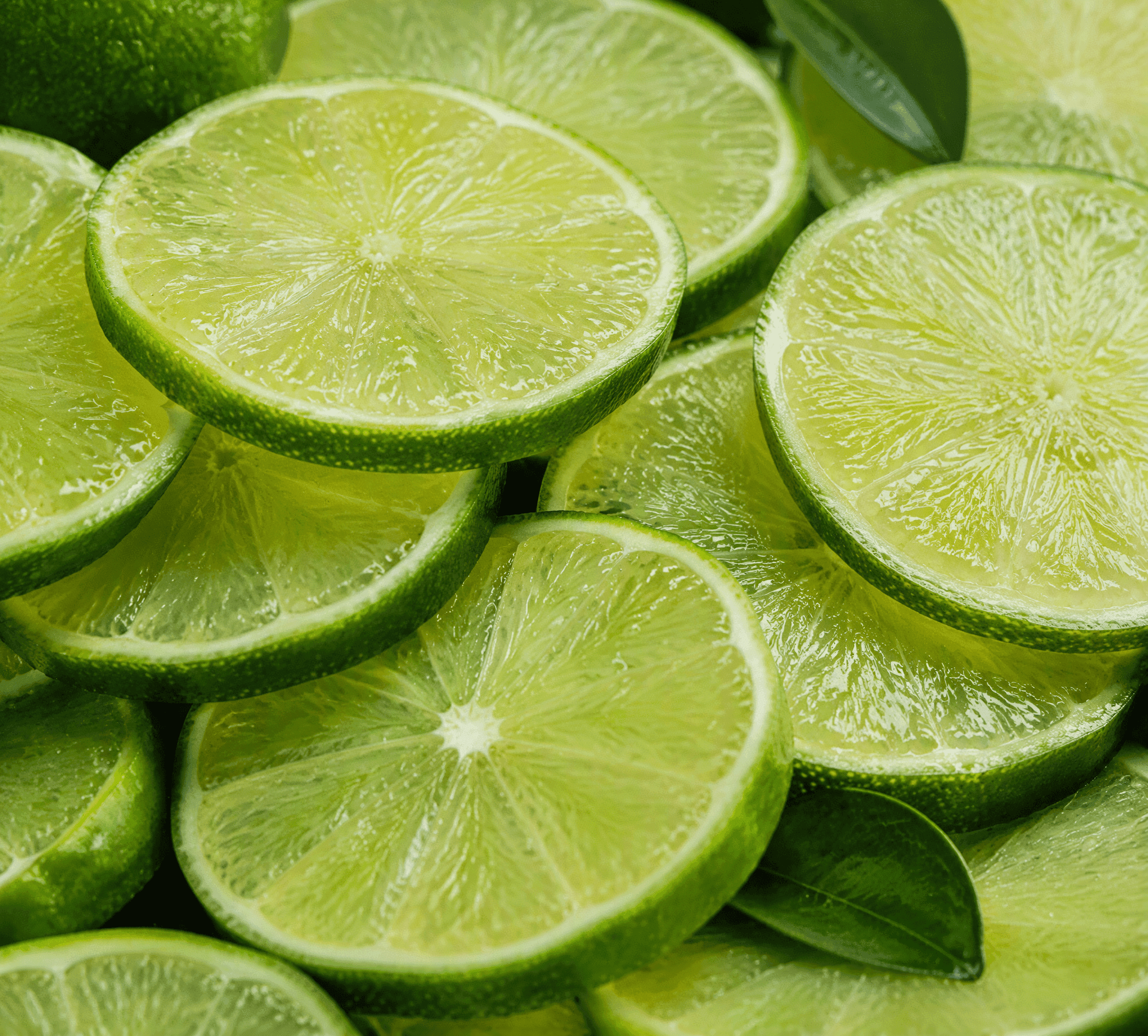 Limettenscheibe