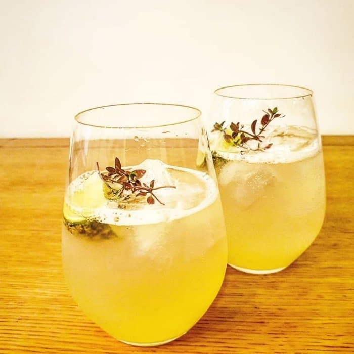 Lemon Elderflower Spritzer
